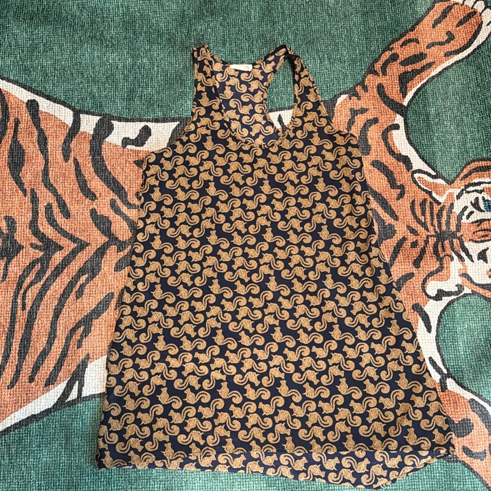 Squirrel shirt dress/tunic